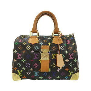 Louis Vuitton Multicolor Speedy Handbag